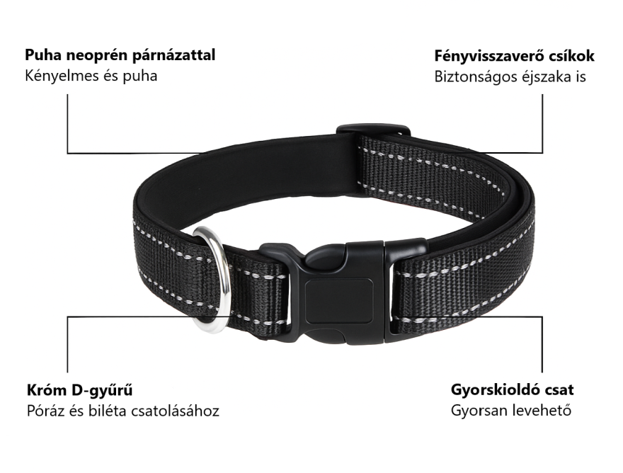 Póráz