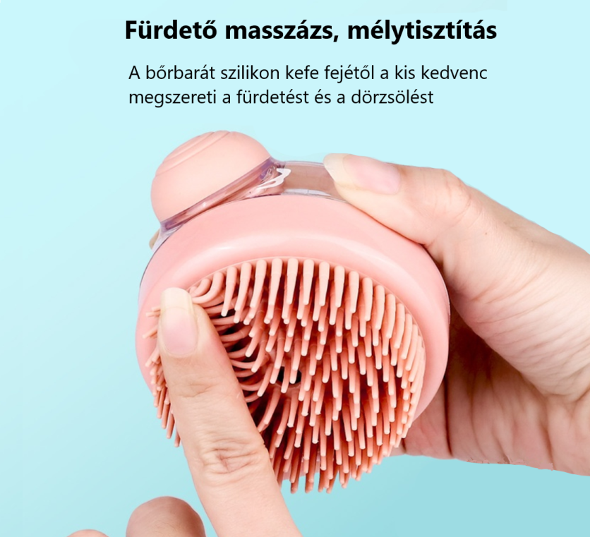 Mosdató kefe